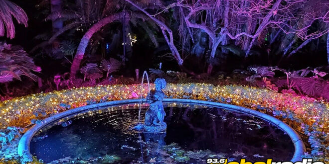 Malaga Christmas Botanical Gardens - CSN News