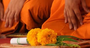 Midweek Mindfulness Made Easy - CSN News