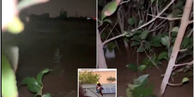 Watch: Terrifying moment woman begs for help on livestream while holding onto a plant after being swept away during Spain's deadly Valencia floods - CSN