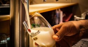 Beer, Beats, and Bavarian Treats: Torre del Mar’s Oktoberfest is Back. - CSN News