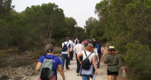 Step into adventure: Alicante’s Autumn Trails kick-off - CSN News