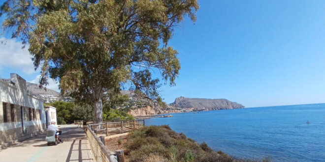 Third Age Celebration for U3A Marina Baixa - CSN News