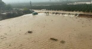 Weather mayhem in Spain’s Valencia: Trains are cancelled while roads and ports are closed as DANA knocks down trees and causes flooding - CSN News