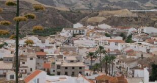 British expat is bludgeoned to death with a gardening hoe ‘for walking his dog near neighbour’s home’ in southern Spain - CSN News
