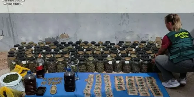 Four arrested as Guardia Civil raid a marijuana farm in San Vicente del Raspeig - CSN News