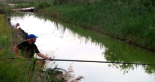 The thrill of the catch: The latest fishing adventure with Carp-R-Us - CSN News