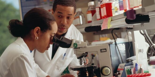 New cervical cancer treatment delivers results - CSN News