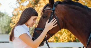 Meet the horses at El Ranchito - CSN News