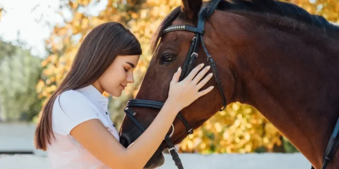 Meet the horses at El Ranchito - CSN News