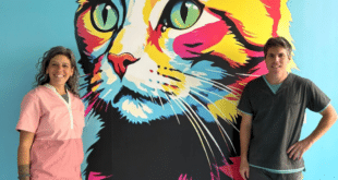 New vet clinic “Faunavet” opens in Albox, partners with Proyecto Gato Almanzora - CSN News