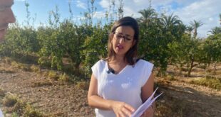 Ignite your spirit: Bonfire permits now open in Albatera - CSN News