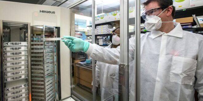 Monkey Pox: new variant in Germany - CSN News