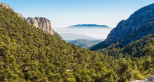 Murcia’s Natural Parks suffer amid record drought - CSN News