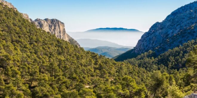 Murcia’s Natural Parks suffer amid record drought - CSN News