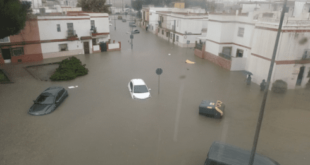Watch: Chaos in Cadiz and Jerez as rivers burst their banks and trees are blown over – with more weather warnings in place for today - CSN News