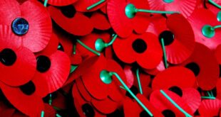 Royal British Legion Poppy Parade, La Cala - CSN News