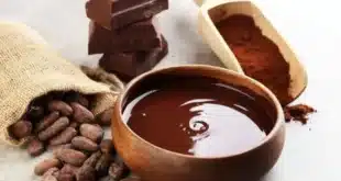 Food museums in spain: a ‘foodies’ heaven - CSN News
