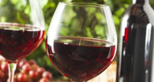 The 10 best bottles of wine in Spain right now, according to the New York Times - CSN News