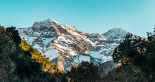 Climbing the tallest peak for abandoned dogs - CSN News