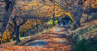 Autumn escapes: Must-try hiking routes in Axarquía - CSN News