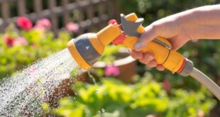 Expanded water restrictions hit 45 towns in Almeria - CSN News