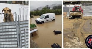 Last Chance appeal for helping hands - CSN News