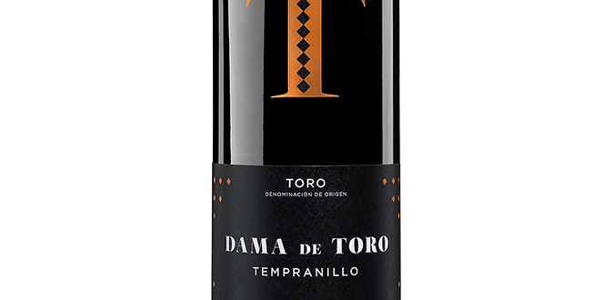 The best supermarket wines for under six euros in Spain - CSN News