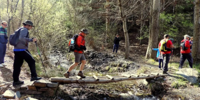 Solidarity hike through Europe’s highest oak forest - CSN News