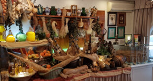 A taste of Andalusia at Terraza Carmona: where tradition meets excellence - CSN News