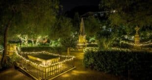 Market at the English Cemetery - CSN News