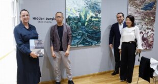 The artistic miracle of Chen Chunmu in Malaga - CSN News