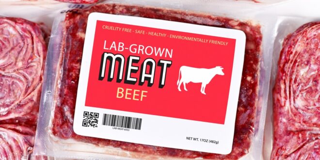 What’s in a name? The battle to label Europe’s Lab-grown meat - CSN News