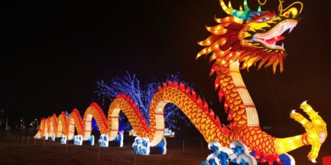 Malaga: sparkling winter wonderland - Costa News Spain