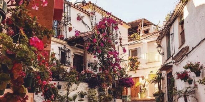 Third most expensive district in Spain is in Estepona - Costa News Spain