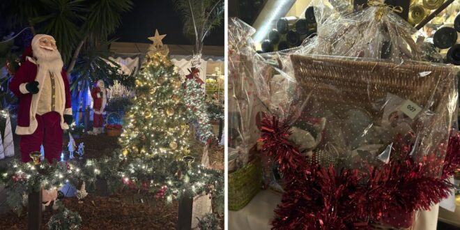 Donkey Dreamland gala Christmas fundraiser - Costa News Spain