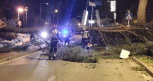 Hurricane winds of up to 140km/hr batter Mallorca: Palm trees are toppled while hundreds of incidents are reported - CSN News
