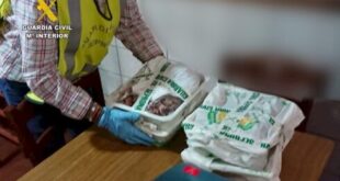 Restaurant faces huge fine for stocking black-market seafood that could poison diners on Costa Blanca