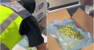 Watch: Nine Brits arrested for trying to smuggle cocaine from Spain by hiding it in frozen broccoli - CSN