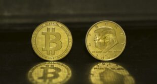 Trump election catapults bitcoin to record levels - CSN News