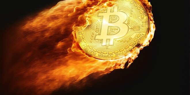 Bitcoin breaks $100K record in historic crypto boom! - CSN News