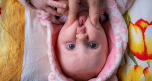 Adorable aggression: why do we pinch cheeks or hug hard? - CSN News