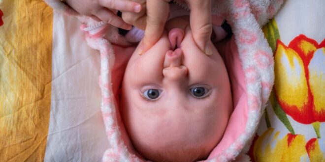 Adorable aggression: why do we pinch cheeks or hug hard? - CSN News
