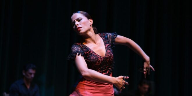 Mojacar’s Flamenco Festival celebrates 10th anniversary - CSN News