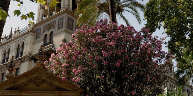 Romantic hotels in Europe for Valentine’s Day - CSN News