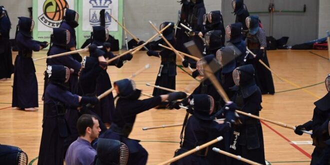 Winterkendo martial arts, Estepona - Costa News Spain