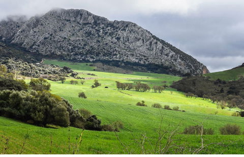 Funding for sustainable transport in Axarquia - CSN News