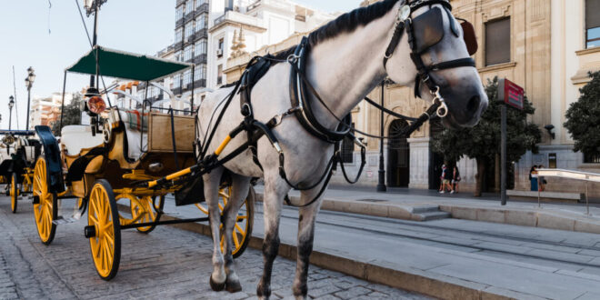 Malaga gets rid of horse-drawn carriages - Costa News Spain