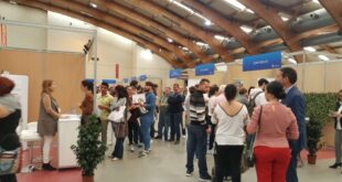 Marbella unemployment lowest since 2007 - Costa News Spain