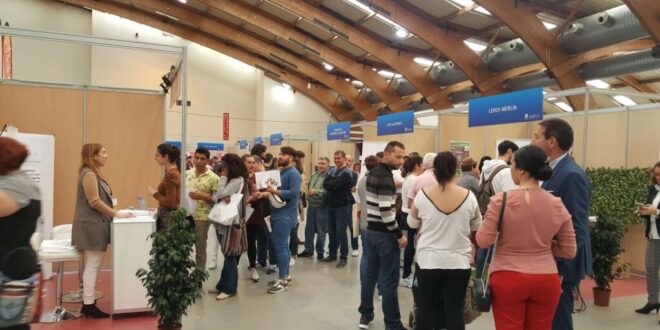Marbella unemployment lowest since 2007 - Costa News Spain