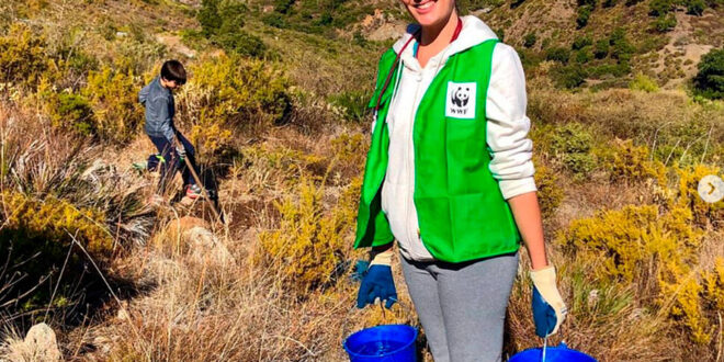 Volunteers needed to help reforest fire damaged Mijas mountains - Costa News Spain